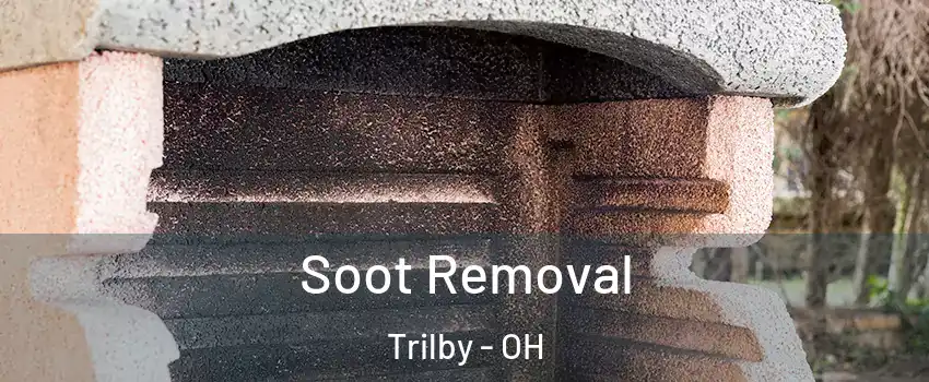 Soot Removal Trilby - OH