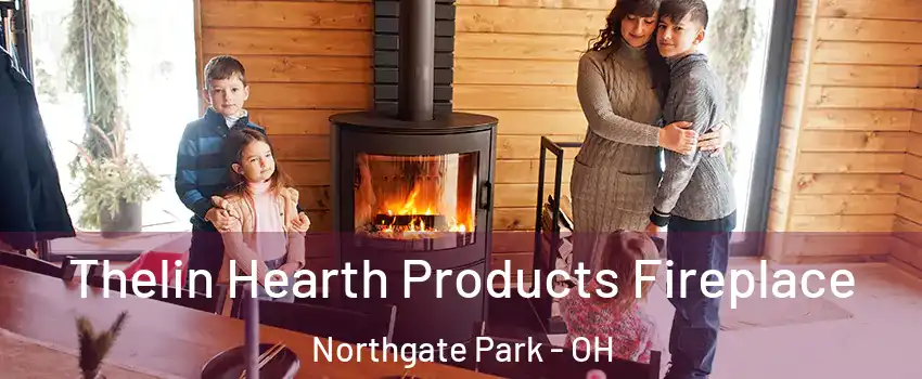 Thelin Hearth Products Fireplace Northgate Park - OH