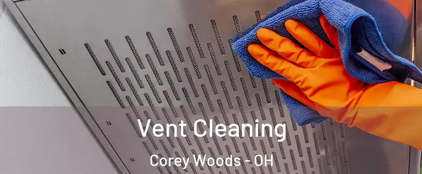 Vent Cleaning Corey Woods - OH