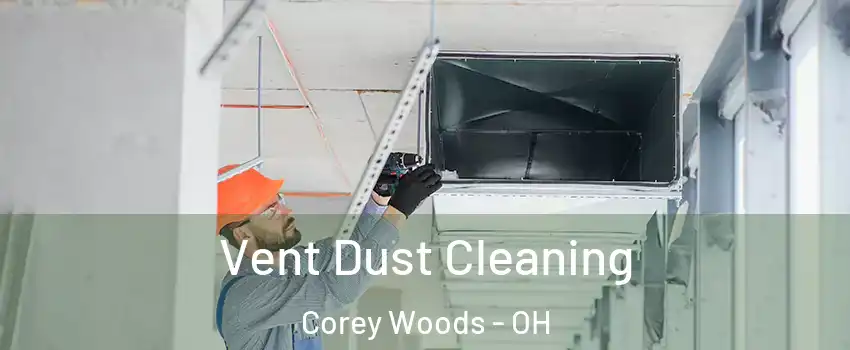 Vent Dust Cleaning Corey Woods - OH