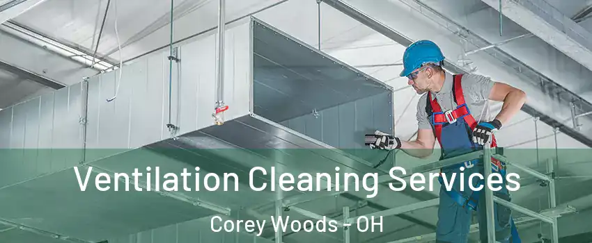 Ventilation Cleaning Services Corey Woods - OH