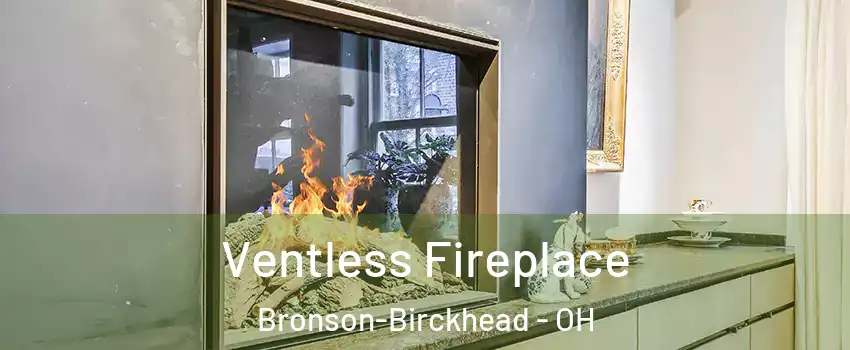 Ventless Fireplace Bronson-Birckhead - OH