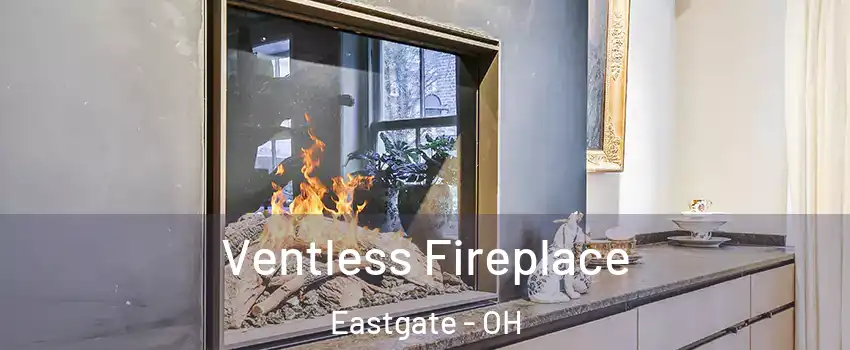 Ventless Fireplace Eastgate - OH