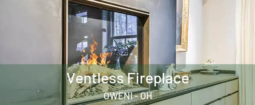 Ventless Fireplace OWENI - OH