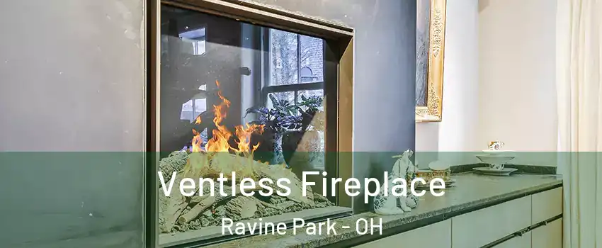 Ventless Fireplace Ravine Park - OH