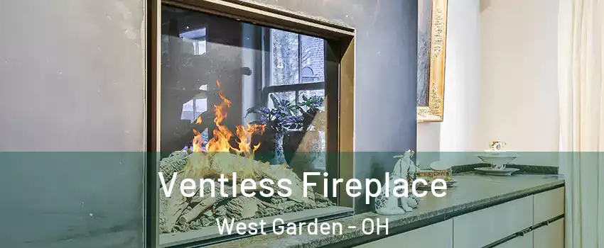 Ventless Fireplace West Garden - OH