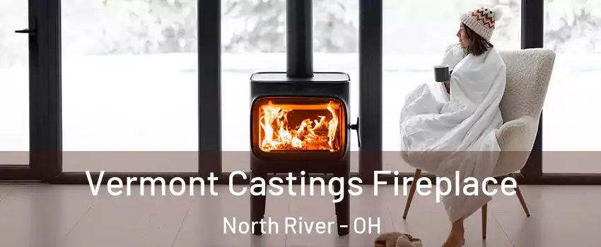 Vermont Castings Fireplace North River - OH