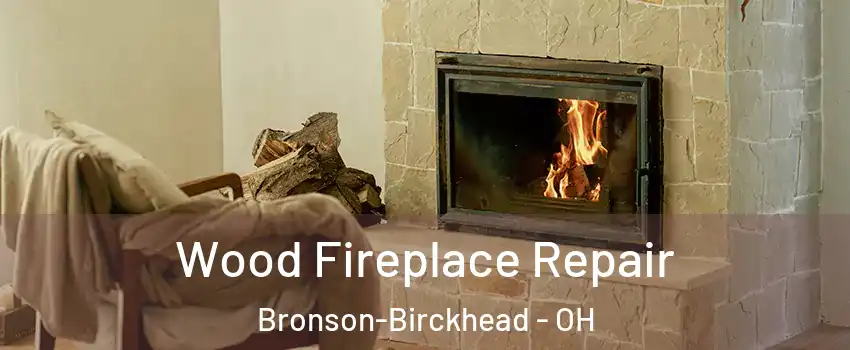 Wood Fireplace Repair Bronson-Birckhead - OH