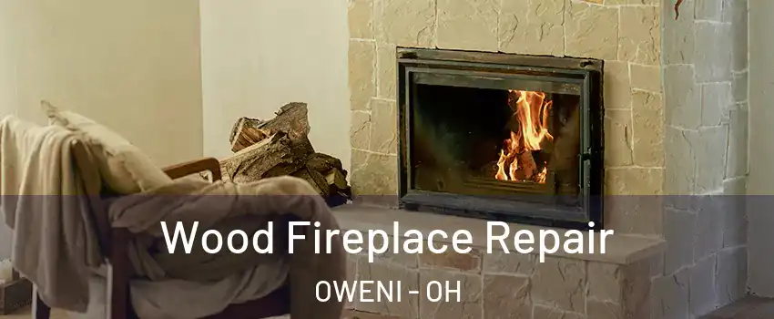 Wood Fireplace Repair OWENI - OH