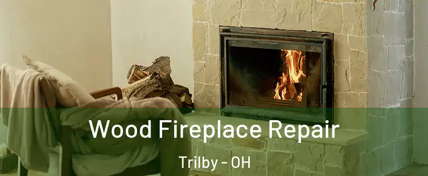 Wood Fireplace Repair Trilby - OH