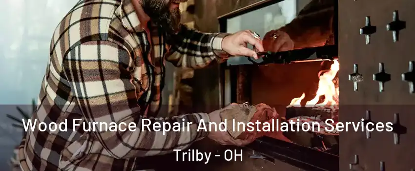 Wood Furnace Repair And Installation Services Trilby - OH