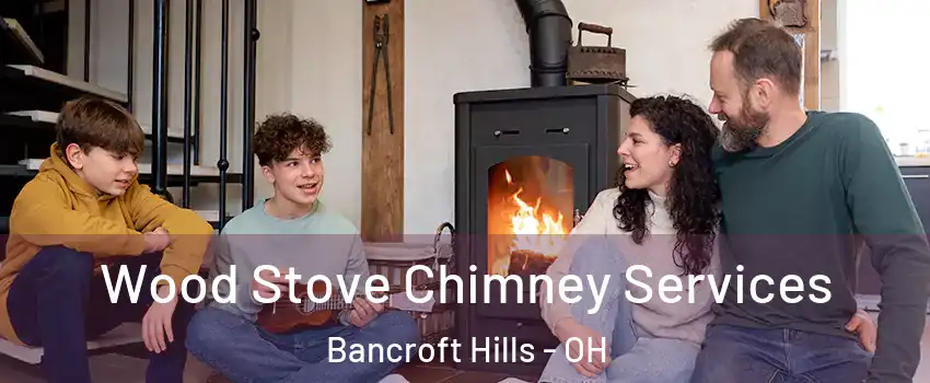 Wood Stove Chimney Services Bancroft Hills - OH
