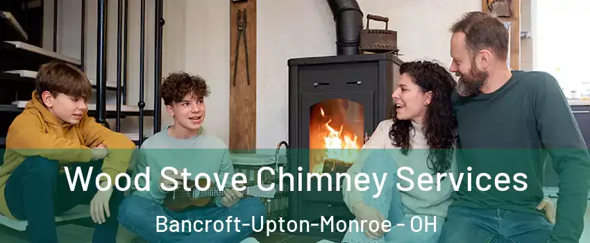 Wood Stove Chimney Services Bancroft-Upton-Monroe - OH