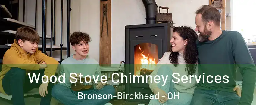 Wood Stove Chimney Services Bronson-Birckhead - OH