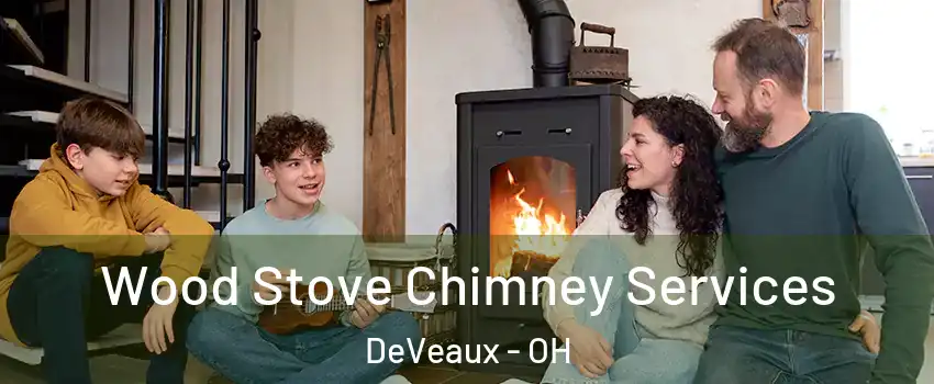 Wood Stove Chimney Services DeVeaux - OH