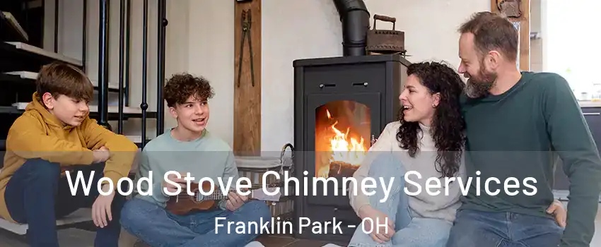 Wood Stove Chimney Services Franklin Park - OH