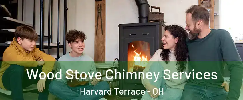 Wood Stove Chimney Services Harvard Terrace - OH