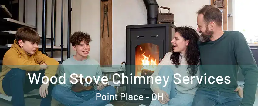 Wood Stove Chimney Services Point Place - OH