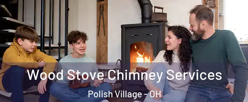 Wood Stove Chimney Services Polish Village - OH