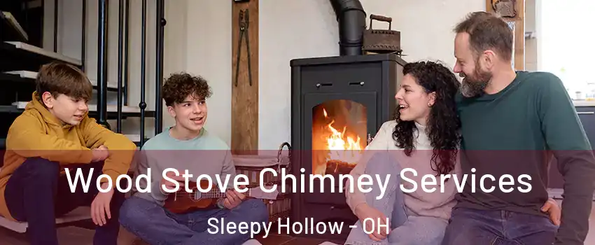Wood Stove Chimney Services Sleepy Hollow - OH