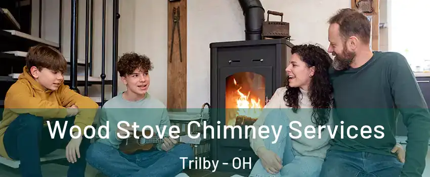 Wood Stove Chimney Services Trilby - OH