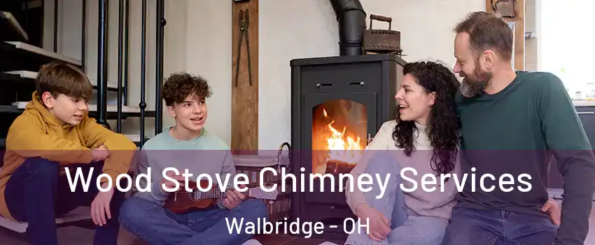 Wood Stove Chimney Services Walbridge - OH