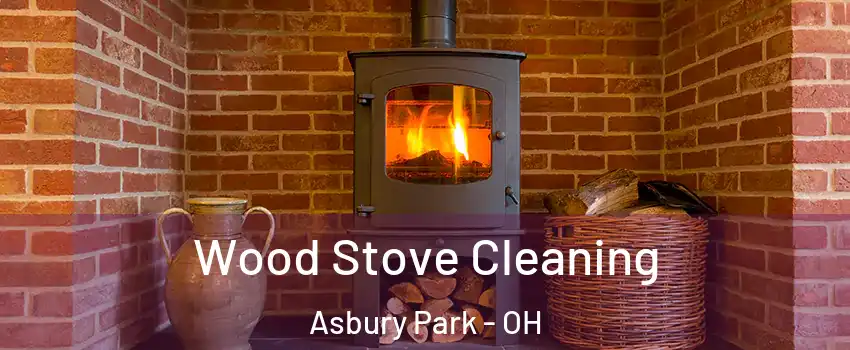 Wood Stove Cleaning Asbury Park - OH