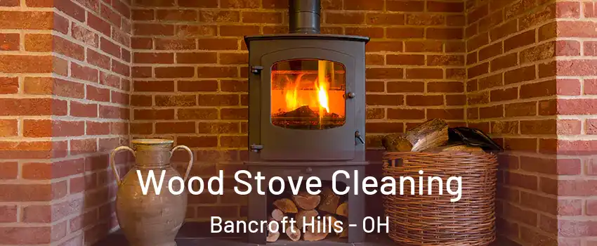 Wood Stove Cleaning Bancroft Hills - OH