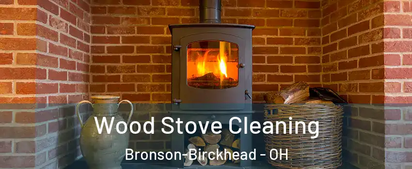 Wood Stove Cleaning Bronson-Birckhead - OH