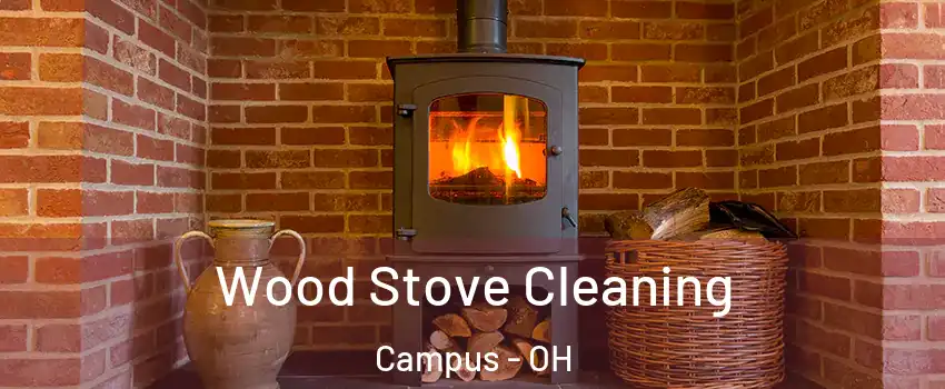 Wood Stove Cleaning Campus - OH