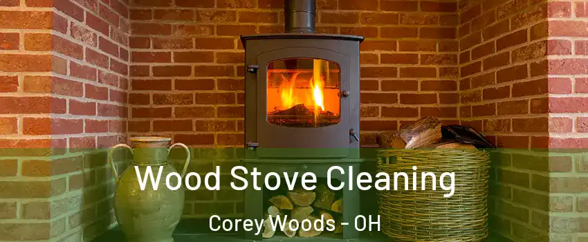 Wood Stove Cleaning Corey Woods - OH