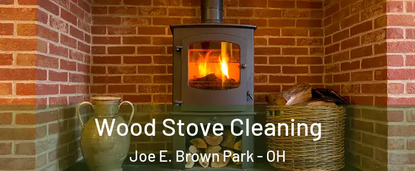 Wood Stove Cleaning Joe E. Brown Park - OH