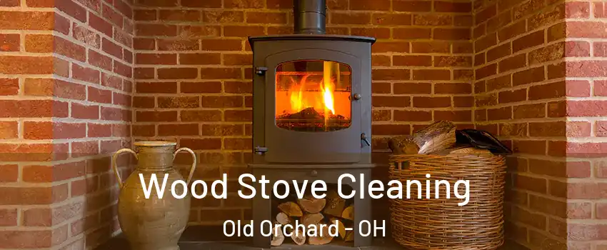Wood Stove Cleaning Old Orchard - OH