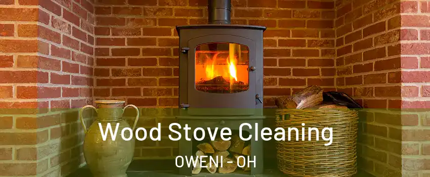 Wood Stove Cleaning OWENI - OH