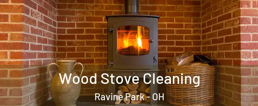 Wood Stove Cleaning Ravine Park - OH