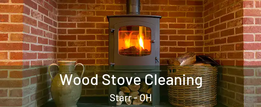Wood Stove Cleaning Starr - OH