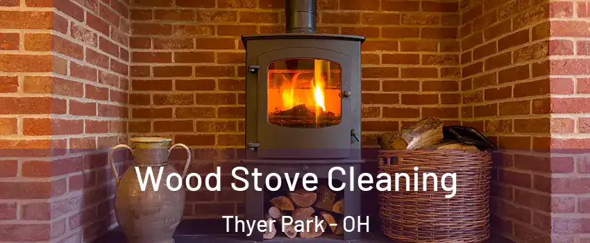 Wood Stove Cleaning Thyer Park - OH