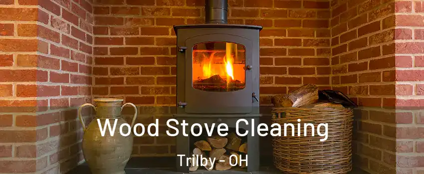 Wood Stove Cleaning Trilby - OH