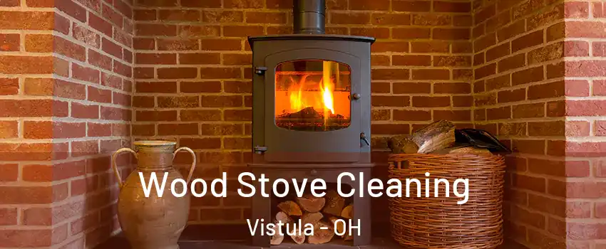 Wood Stove Cleaning Vistula - OH