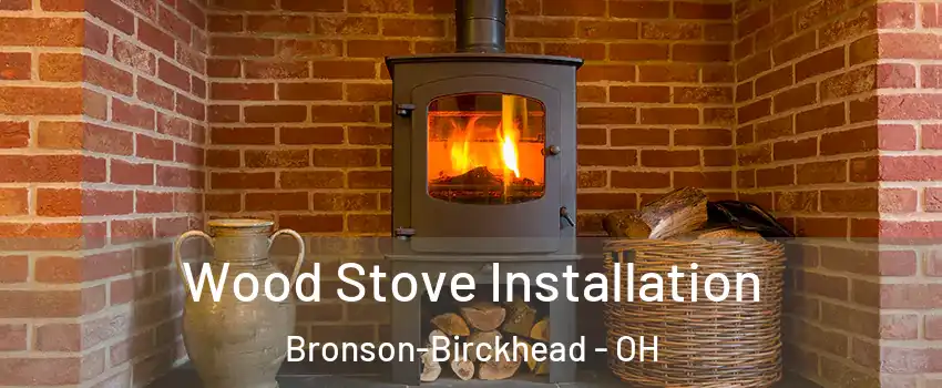 Wood Stove Installation Bronson-Birckhead - OH