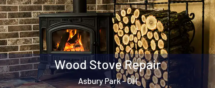Wood Stove Repair Asbury Park - OH