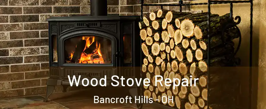 Wood Stove Repair Bancroft Hills - OH