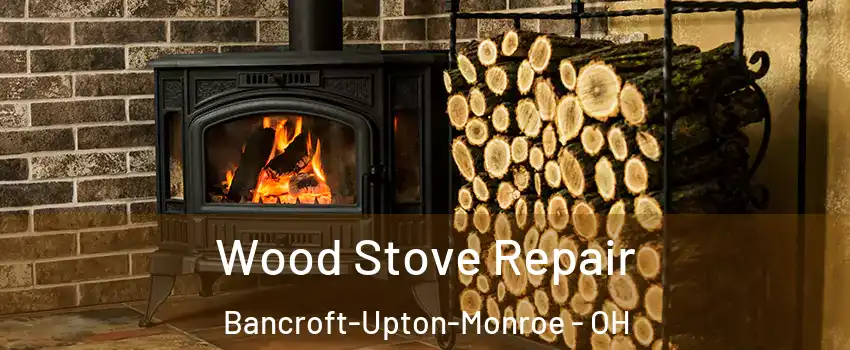 Wood Stove Repair Bancroft-Upton-Monroe - OH