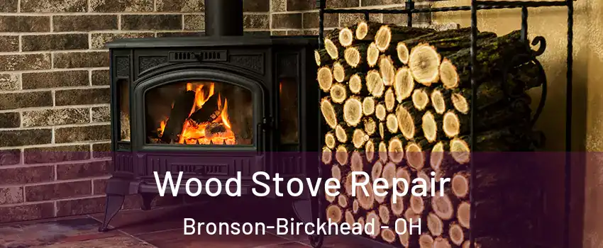 Wood Stove Repair Bronson-Birckhead - OH