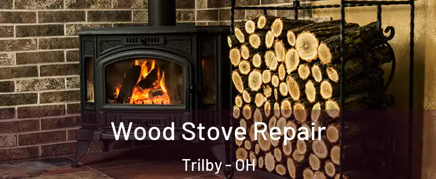 Wood Stove Repair Trilby - OH